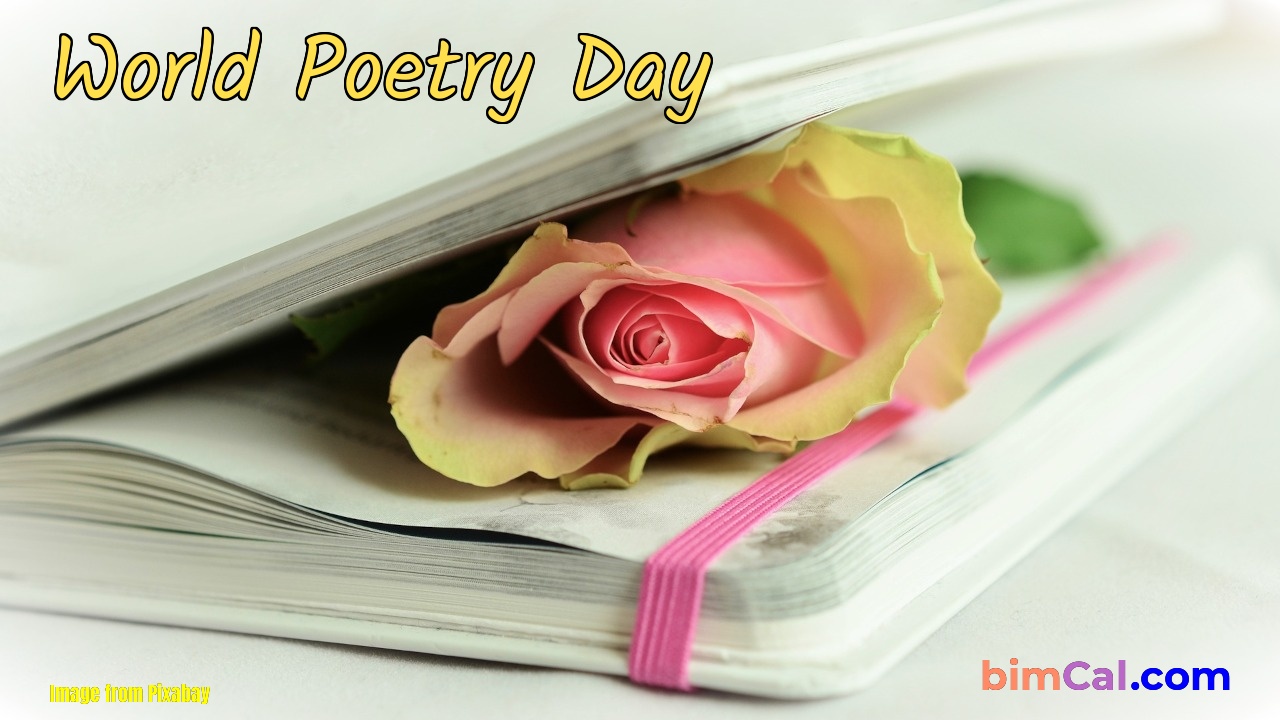 6 Best Poetry Books